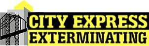 City Express Exterminating Logo