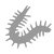 Millipedes
